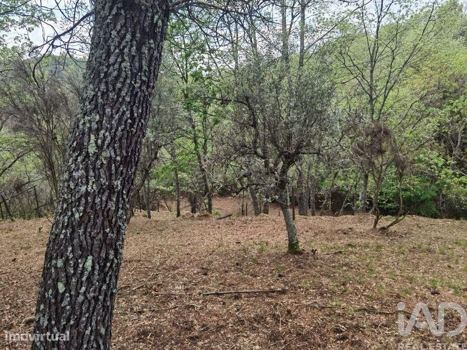 Casa de Campo em Aldeias e Mangualde da Serra de 40,00 m2