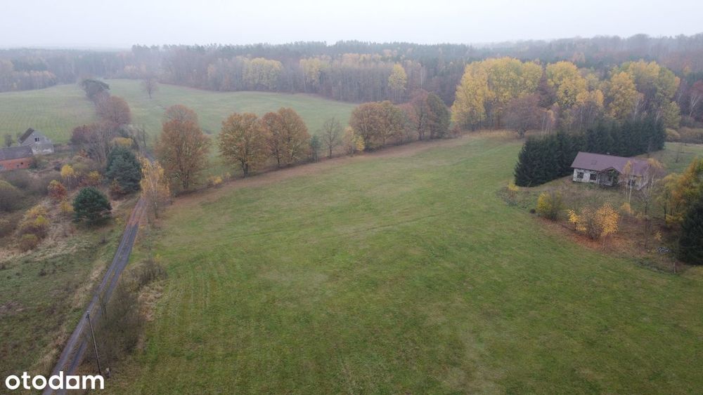 Działki budowlane w miejscowości Mosina gm. Witnica