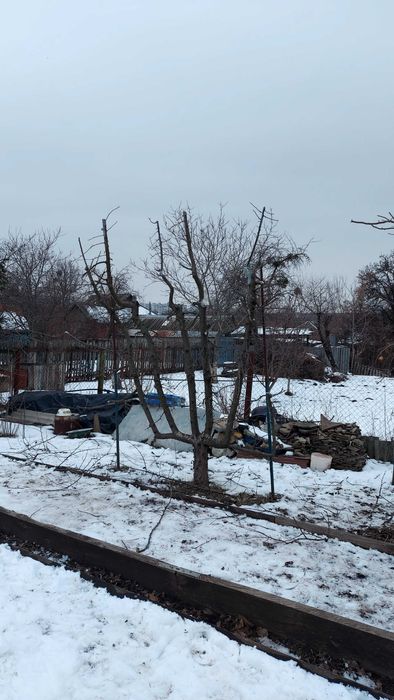 Послуги садівника. Обробка рослин від шкідників та хвороб.