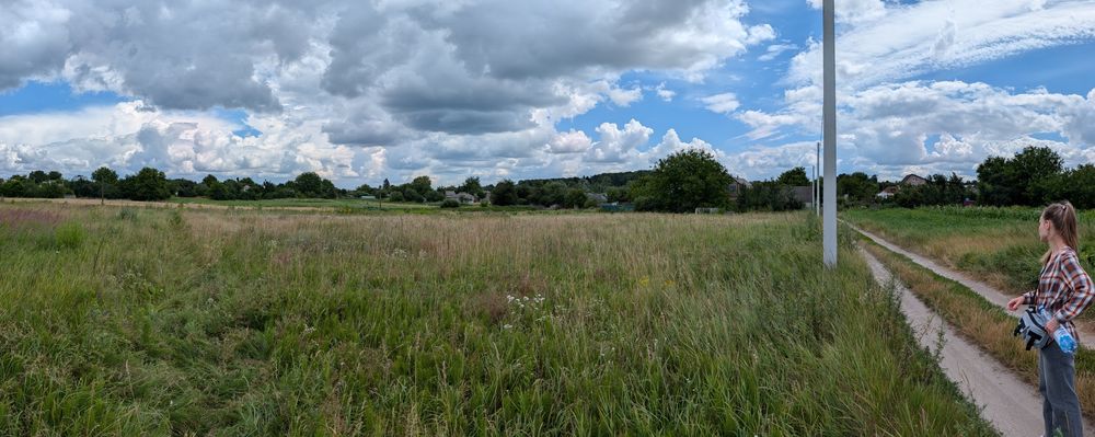 Сіно безкоштовно, Мотовилівка