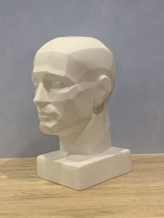 РАСПРОДАЖА гипсовая голова обрубовка