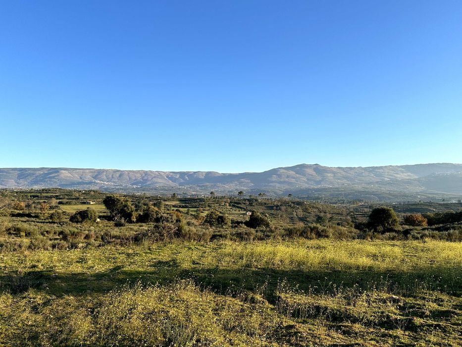 Refúgio de 9 Hectares com Vistas para a Serra da Estrela