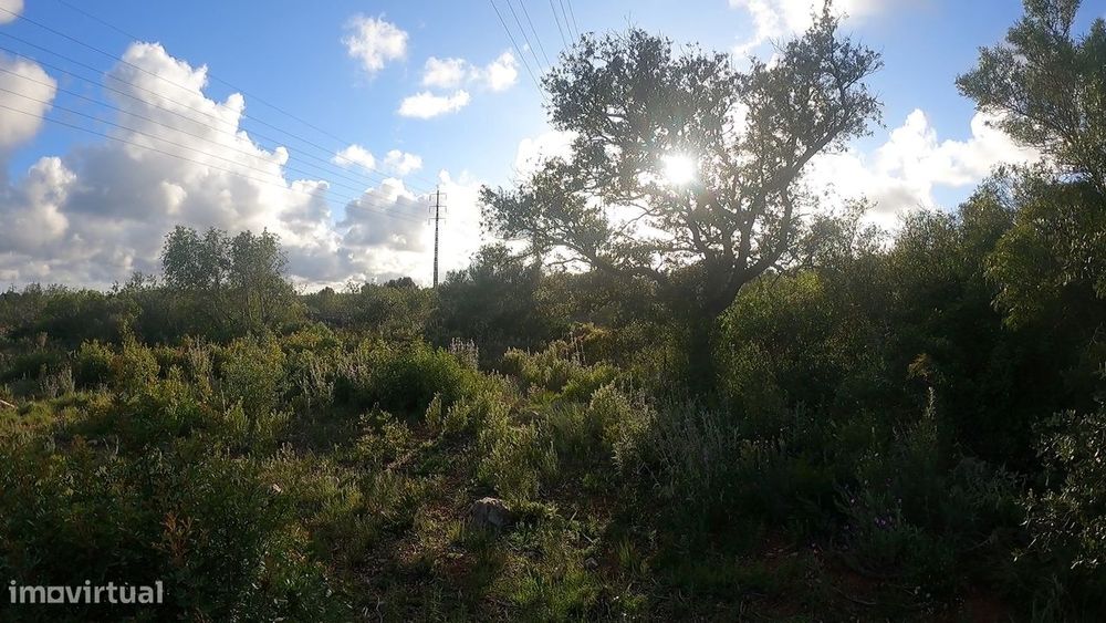 Terreno Rústico  Venda em Conceição e Estoi,Faro