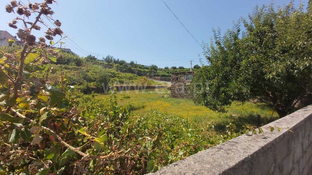 Casa em ruínas com terreno