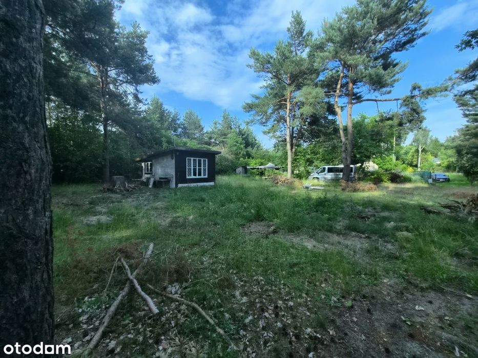 Działka 1154 m² blisko rzeki Wkry | Całoroczna lub rekreacyjna - Więcej