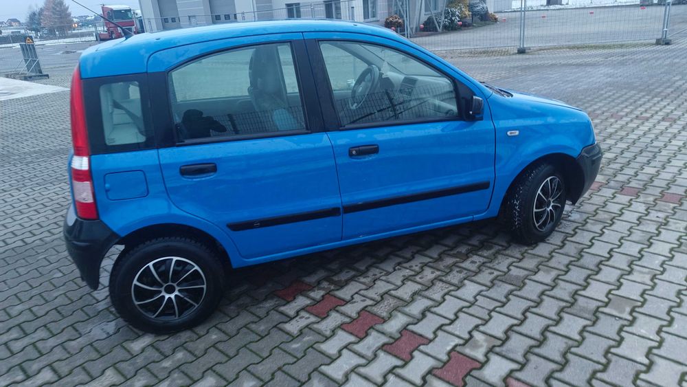 Panda bez wkładu finansowego nie pognita