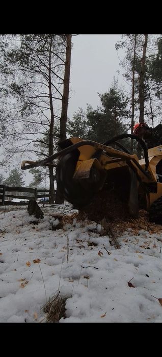 Usuwanie pni drzew frezowanie pni wycinka