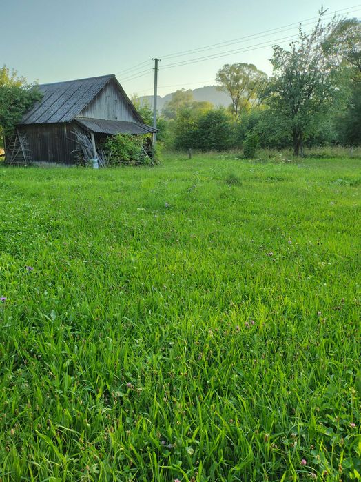Ділянка 19.5 соток у Микуличині біля лісу та річки. Власник. Торг