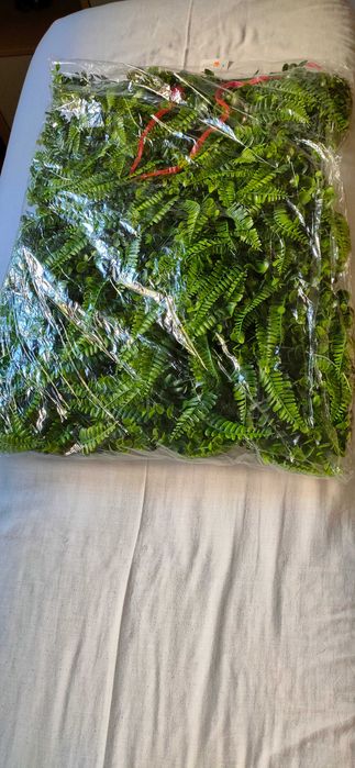 #Jardim#artificial#decoraçao#parede