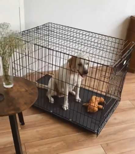 Клітка клетка №3,4,5,6,7 розміри манеж для собак кошек переноска будка