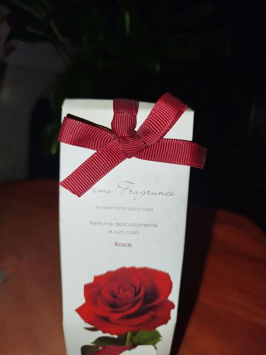 Conjunto de Decoração: Jarra de Vidro (25cm) + Ambientador (Novos)