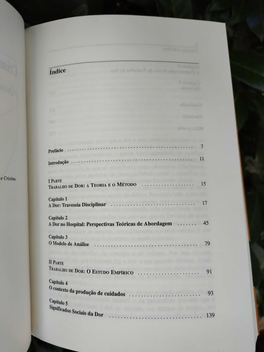 Crianças com dor: O quotidiano do trabalho de dor no hospital