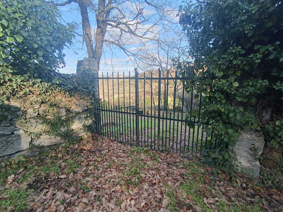 Quinta Pinhel 1 hectare