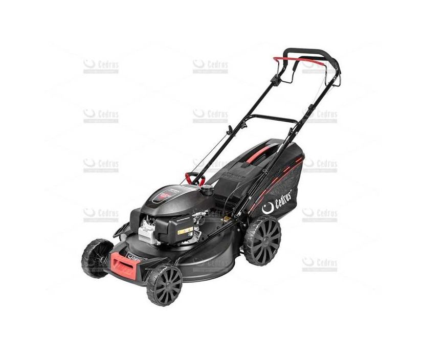 Kosiarka spalinowa Cedrus KS56S-H silnik HONDA GCV200