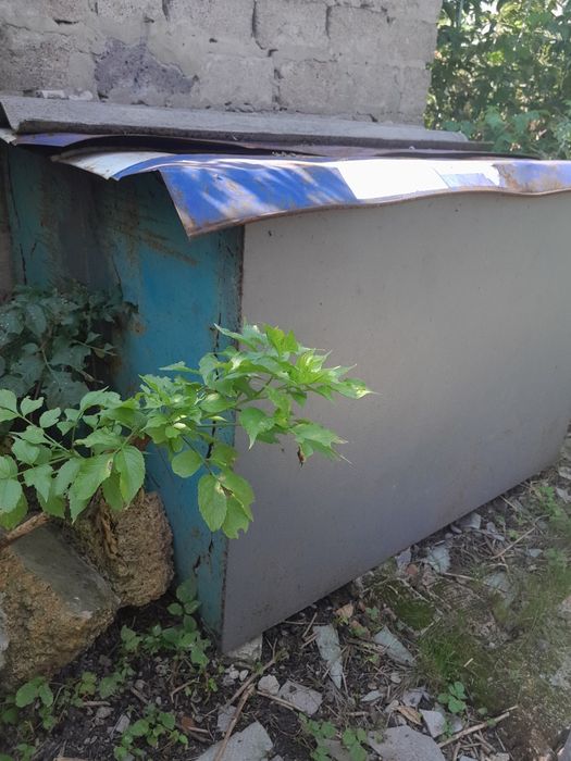 Продам металевий ящик для зберігання зерна,