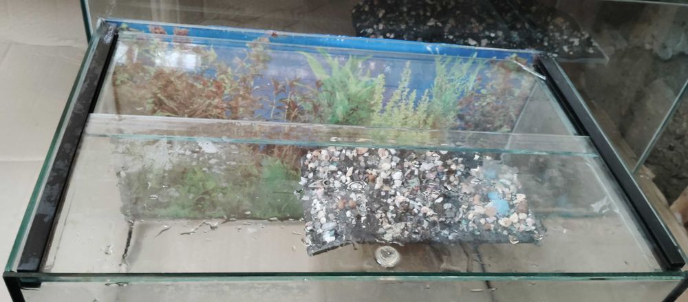 Aquário para tartaruga