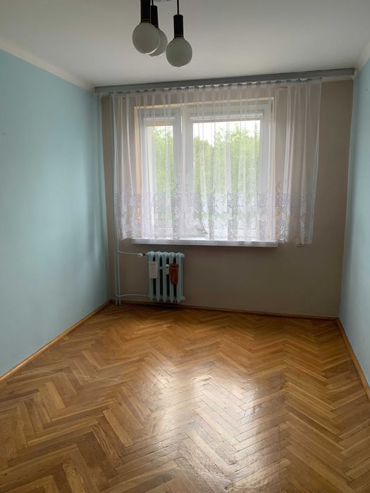 Zdjęcie 3