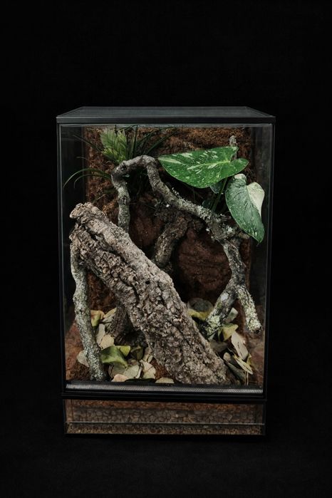 Terrarium 40x40x60 dla gekona orzęsionego gargulcowego itd