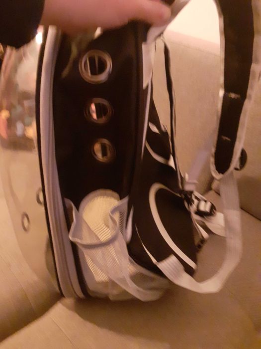 Transporter dla kota, małego psa