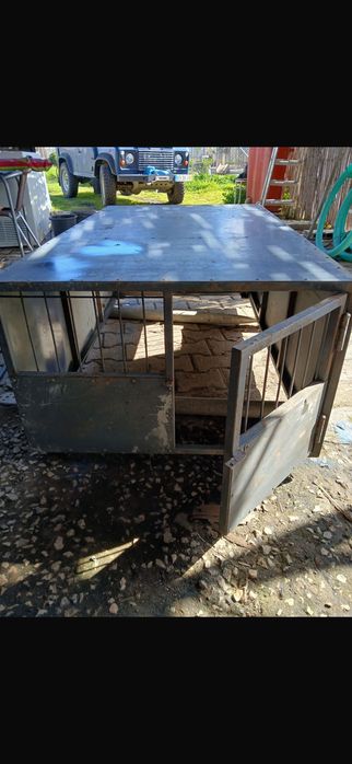 Caixa transportadora para cães