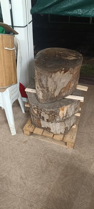 Toros de madeira,ideais para fazer mesas ou peças