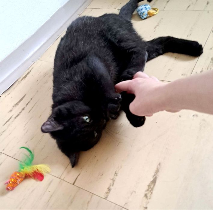 Maluchy. Chłopczyk i dziewczynka.