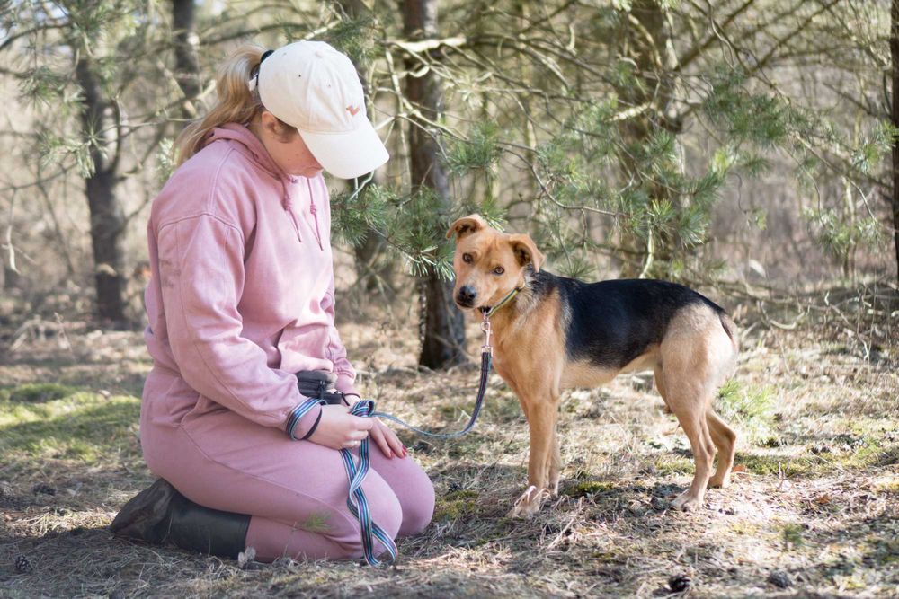 2 letnia Fraszka do adopcji!