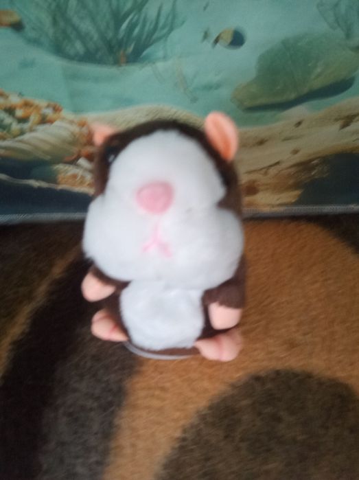 Tylko 33 zł Chomik gaduła rusza się i powtarza wszystko co się do nieg