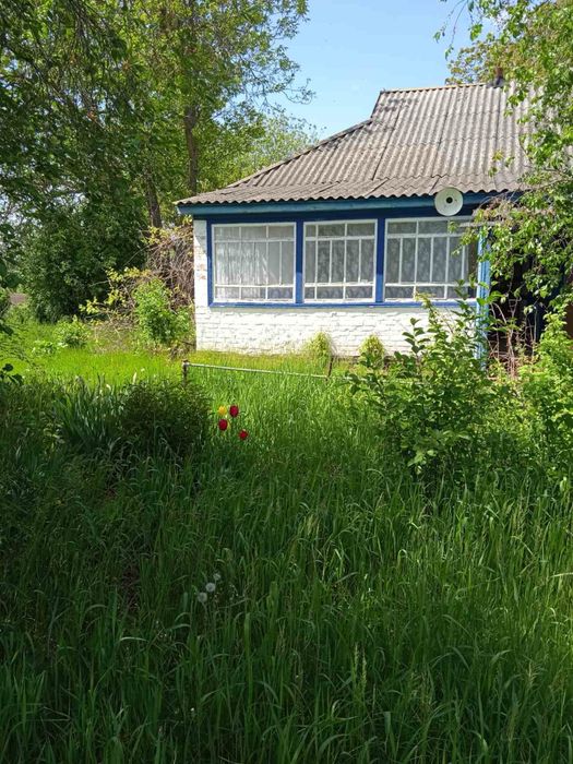 Будинок в селі Ціпки