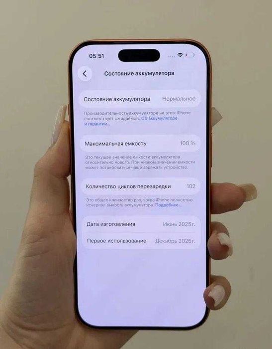 iPhone 17 Pro, 256 ГБ, SIM + eSIM