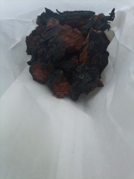 Czaga 100 gr (kawałki)