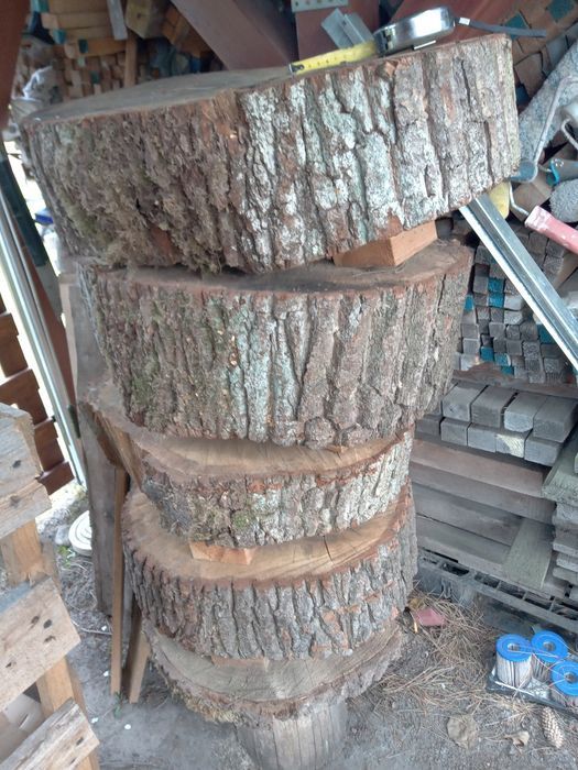 Pieńki,plastry.,dębowe - sezonowane