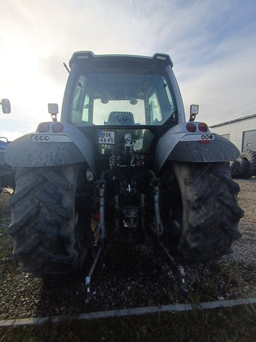 Same rubin  Lamborghini champion 135