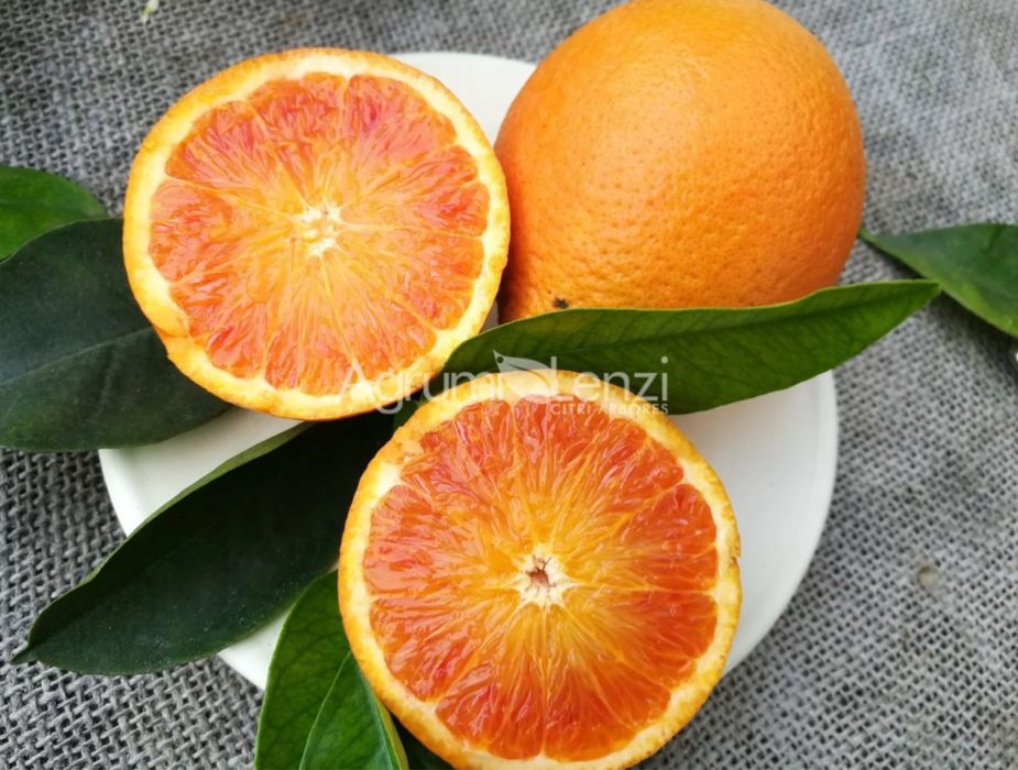 Citrinos Raros Plantas Certificadas