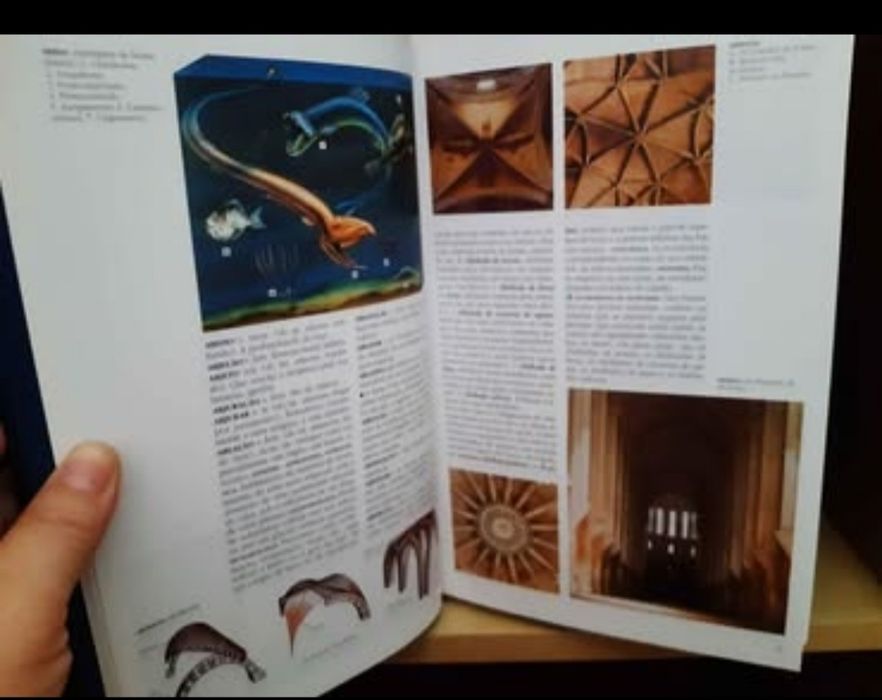 Enciclopedia "Moderna" Larousse, com 17 livros com imagens
Ver descriç