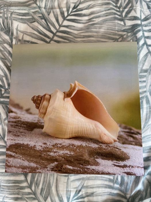 Quadros com motivos marinhos64550772075779122