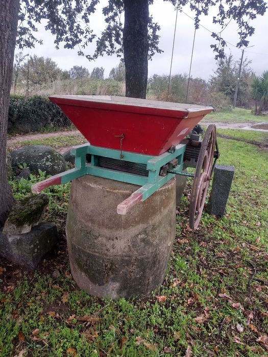 Vendo ralador de uvas elétrico.