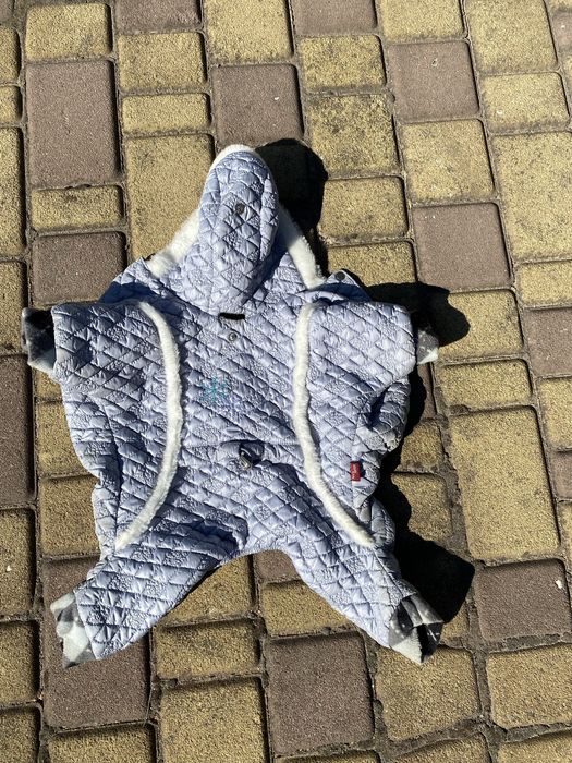 Одежда для собак