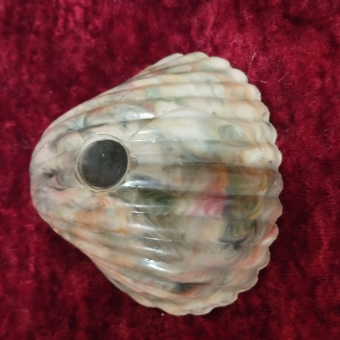 Ракушка диаскоп сувенир