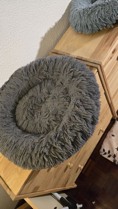 Torre Gatos + Transportadoras e Acessórios