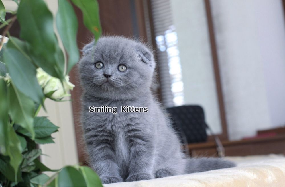 Чекає саме на тебе