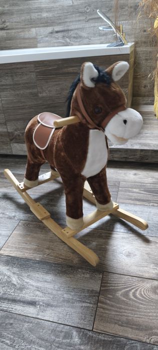 Konik na biegunach