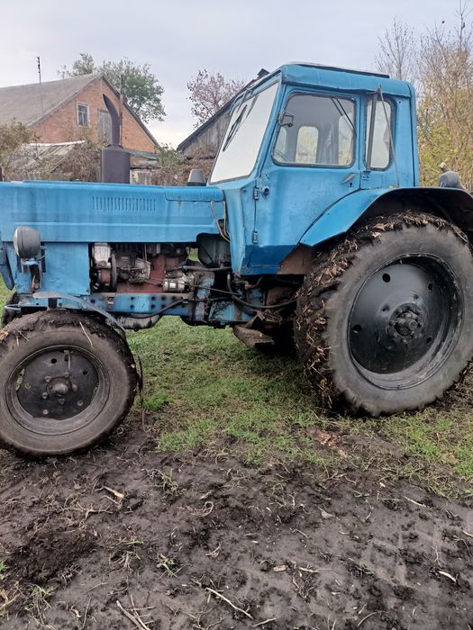 Мтз 80 в робочому стані