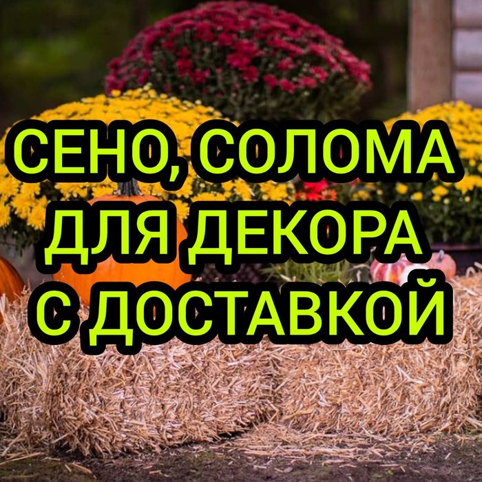 Сено ДЕКОР сіно в тюках с привозом (люцерновое, с заливных лугов, солома). Тюки для декора.