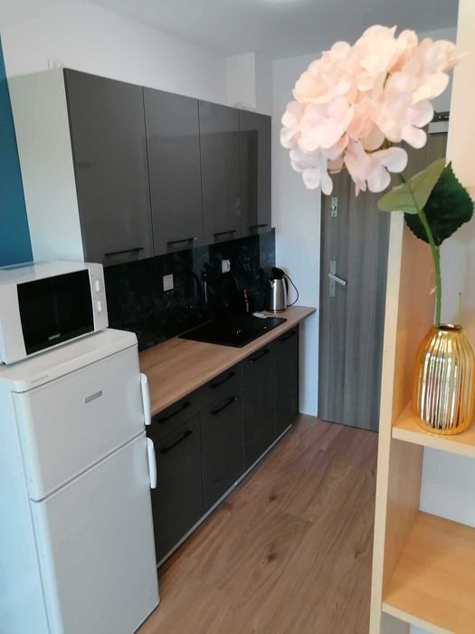 Klemensiewicza 1 - nowy blok, apartament na wynajem, BALKON, PARKING, od 01.11, TANIO!!!