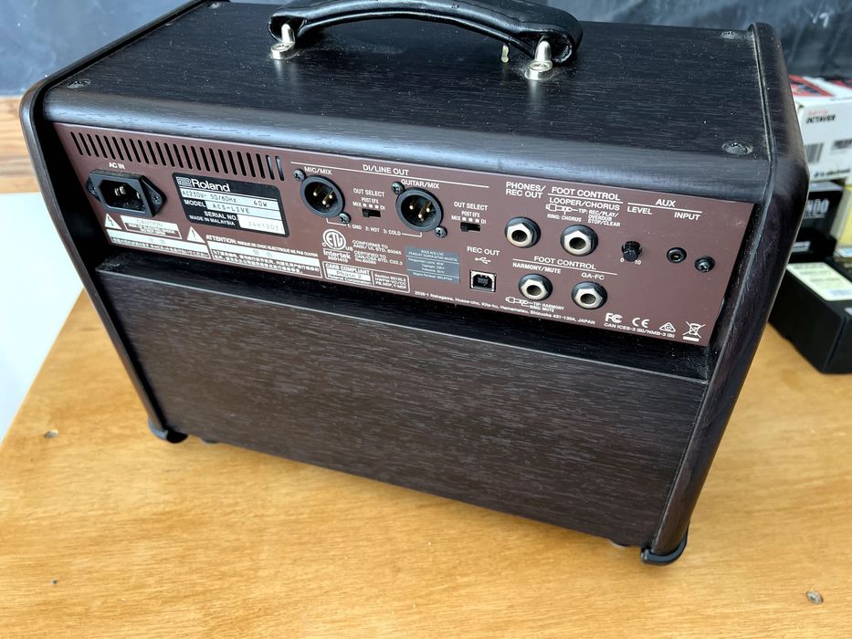 Boss ACS Acoustic Singer Live