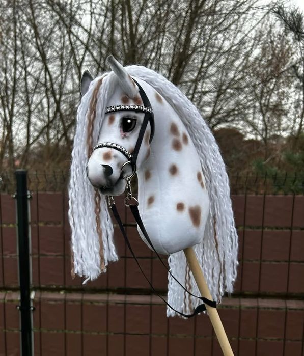 Piękny hobby horse