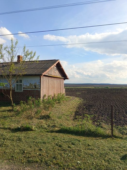 Будинок. Земельна ділянка