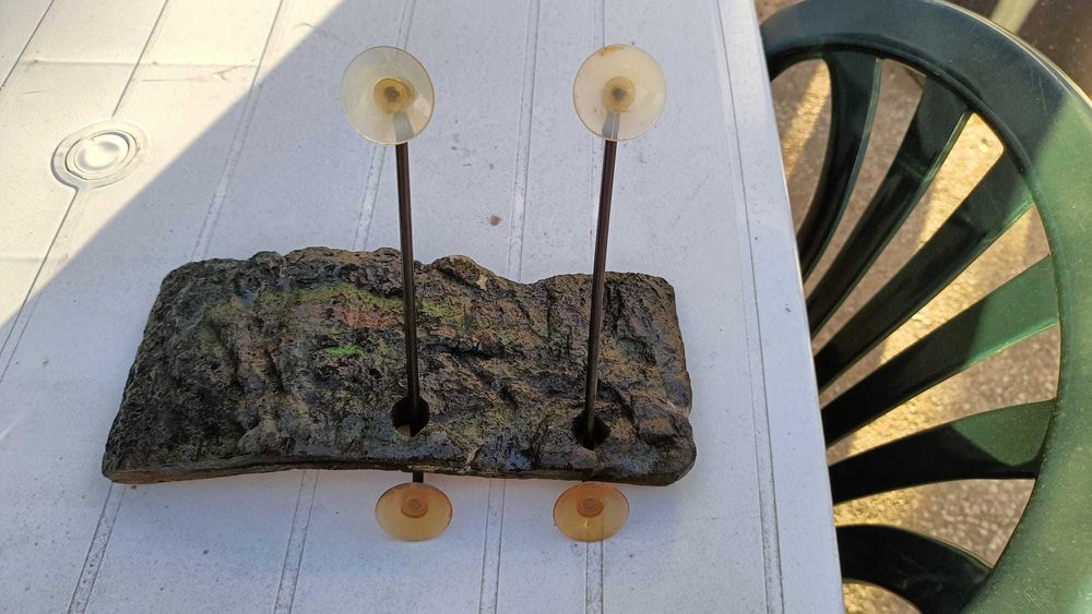 Plataforma Tartaruga