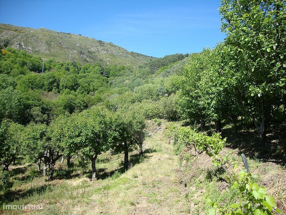 Terreno  para venda